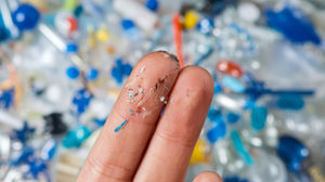 Small and Terrible: The Unseen Threat Inside Us