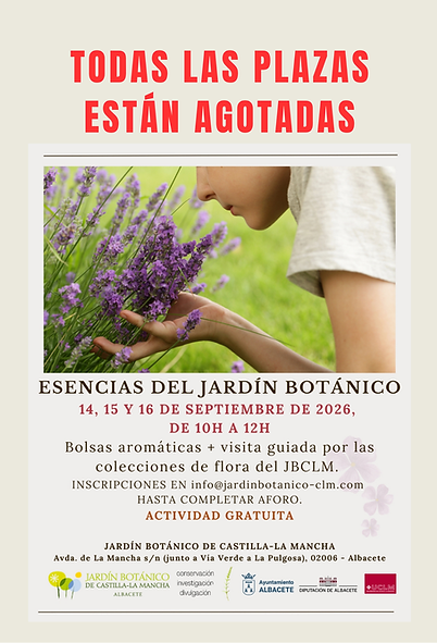 Cartel poster de reciclaje y sostenibilidad informativo ecológico marrón (6).png
