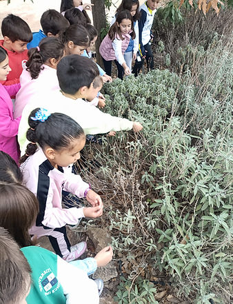 CONOCE TU FAUNA Y FLORA 2025-2026.jpg