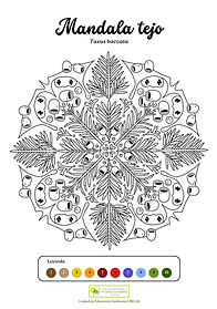 Mandala tejo.jpg