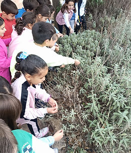 CONOCE TU FAUNA Y FLORA 2025-2026.jpg