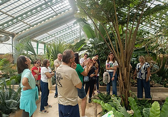 VISITAS GUIADAS WEB 1.jpg