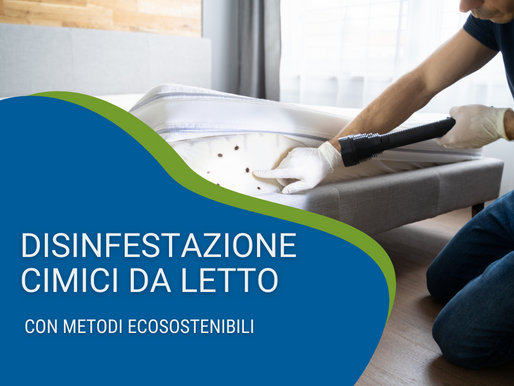 Disinfestazione cimici da letto