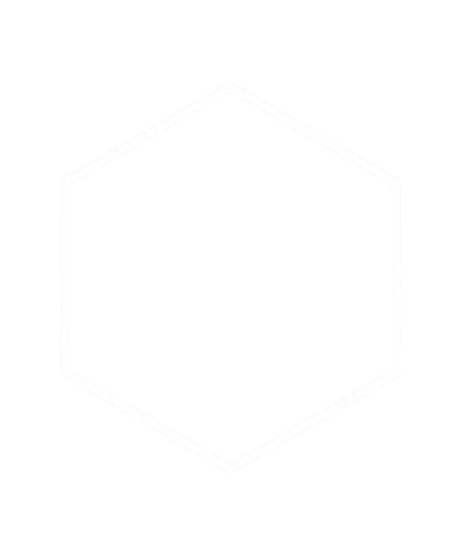 A thin white border hexagon