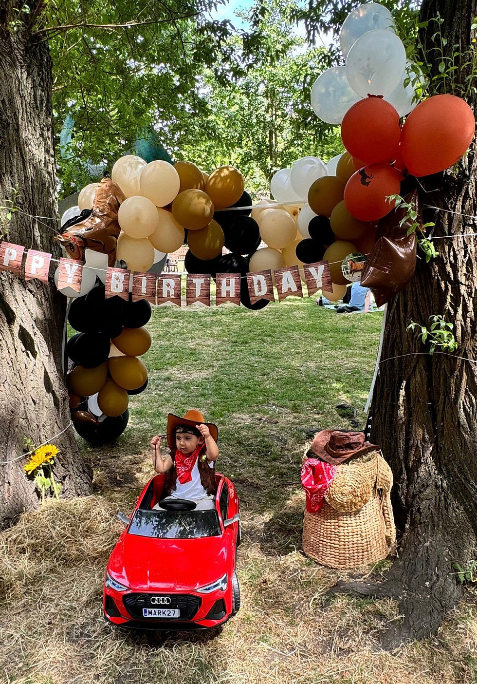 Western Theme Ballon Arch and Decoration