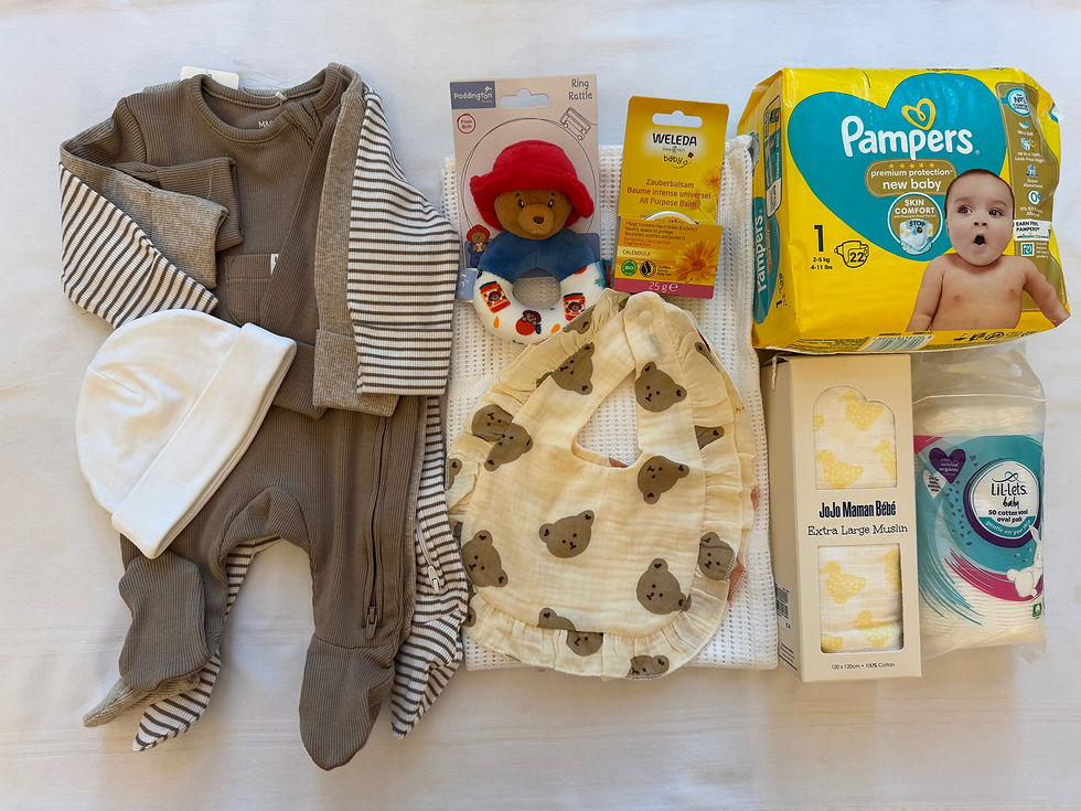 Thumbnail: Standard Maternity Hospital Bag  for Mom and Baby