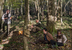 Saviors, Glenn and Michonne