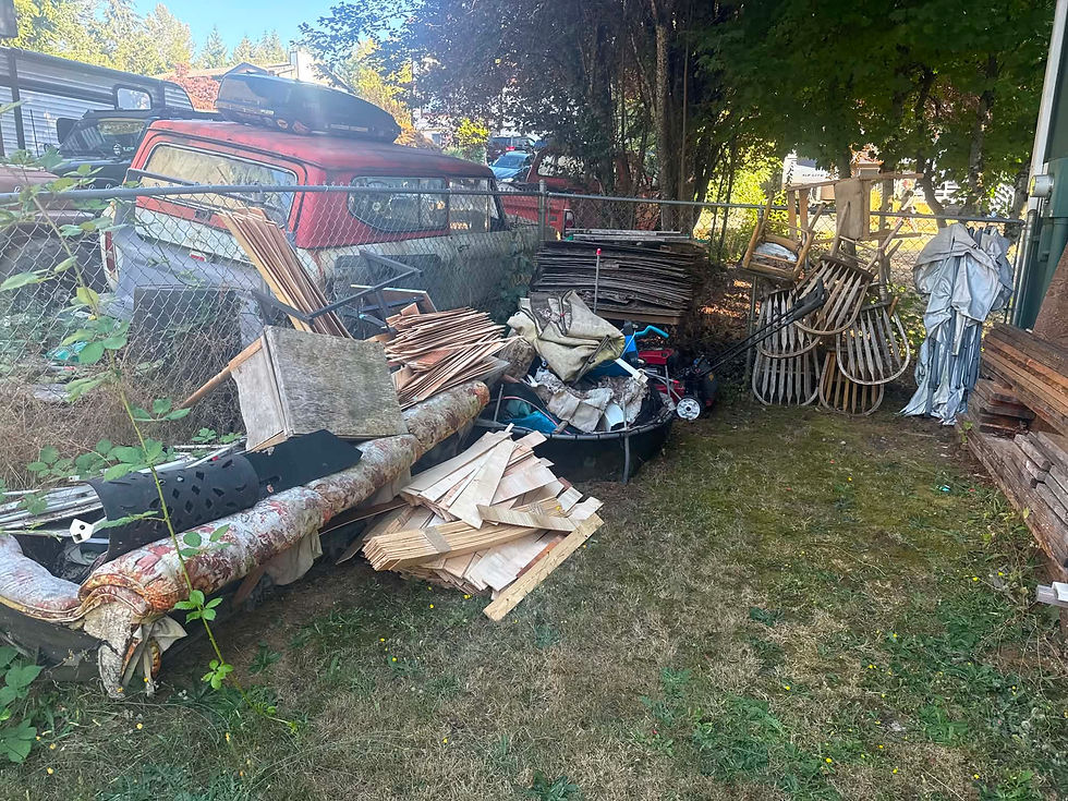 Junk removal pt 3.jpg