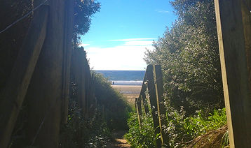 Dunes to Sea - Copy.jpg