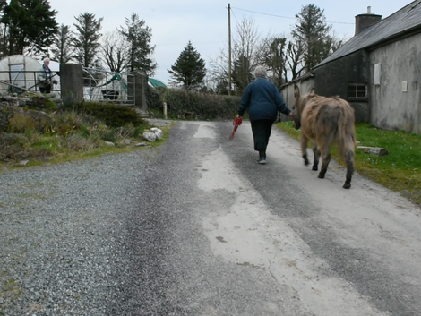 3. Preparing for Ireland MARCH 20, 2017