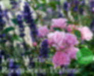 Love Warrior: Organic Perfume and Room Spray