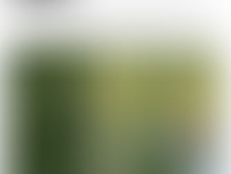 44. conflict resolution Feb 28, 2020