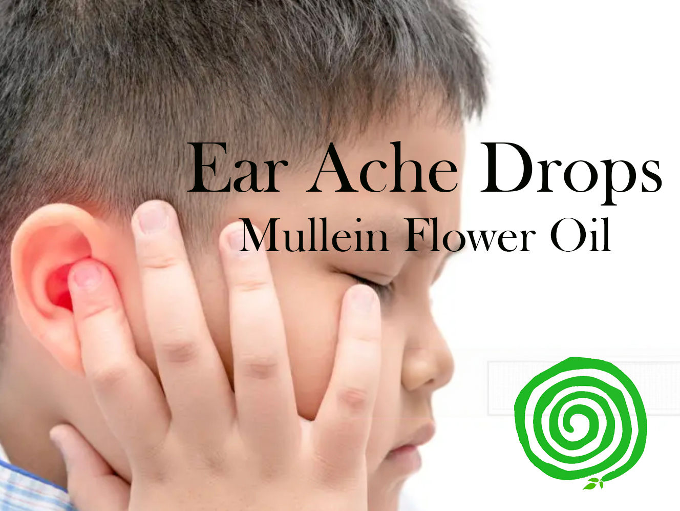 Earaches - Mullein Flower Oil: Pain, Inflammation