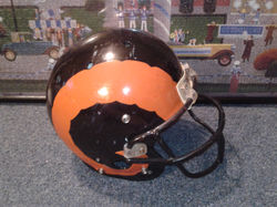 Mineral Ridge HS Rams (OH)