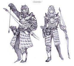 Striders
