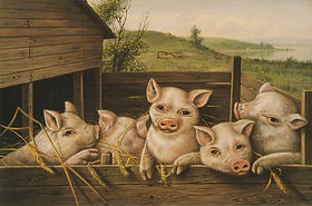 Curiosidades | Museu do Bísaro