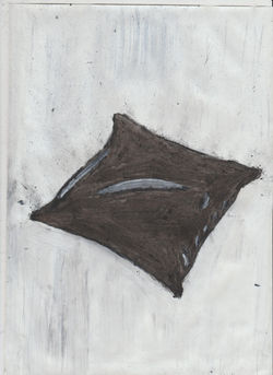coussin 16-08-15 vo.jpeg