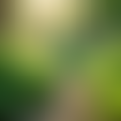 The Importance of Sustainable Living in Today's World