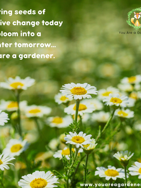 You Are a Gardener® Spreading the Seeds of Positive Change