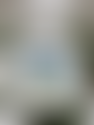 You Are a Gardener® book by Shanna Truffini set in a snowy winter field with festive holly bushes and red berries.