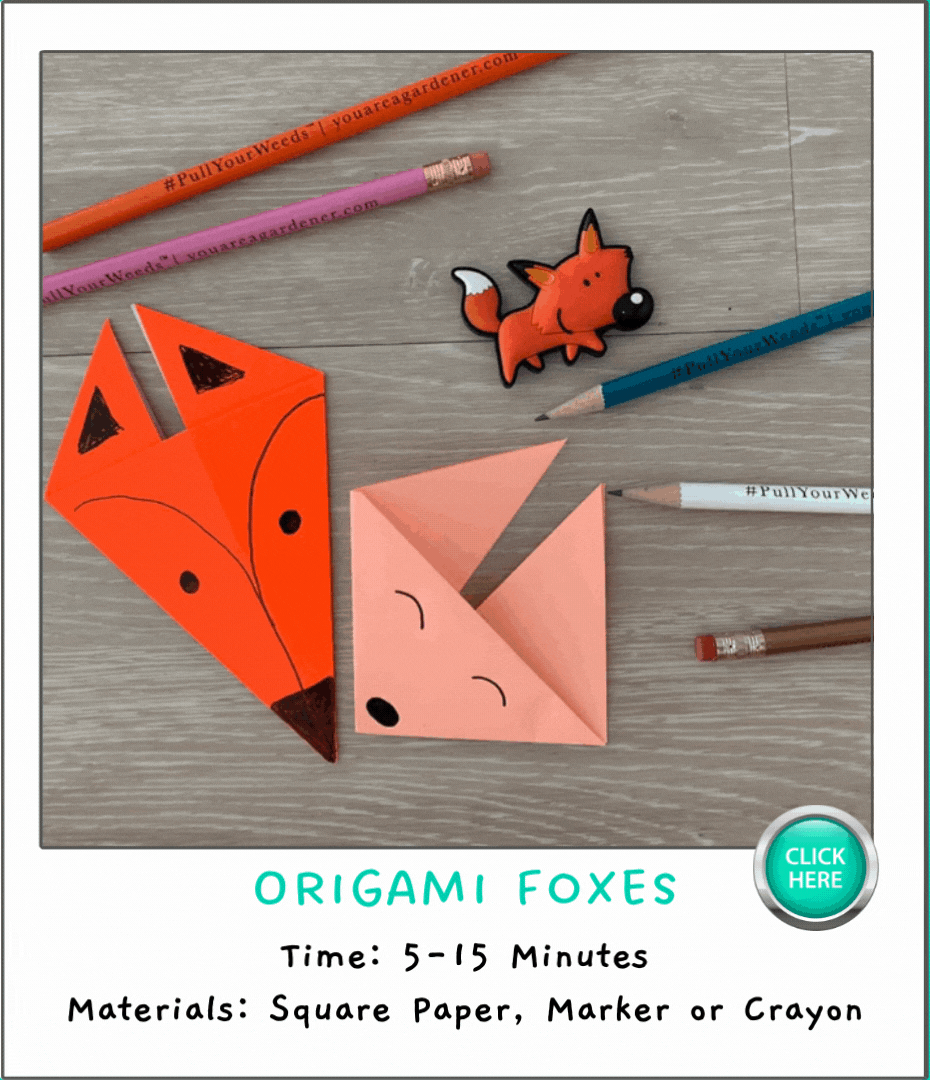Origami Foxes.gif