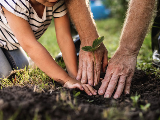 Weeds Have No Age Limits