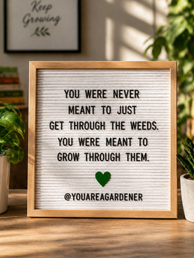 Struggling Right Now? Here’s How to Grow Through What You’re Going Through