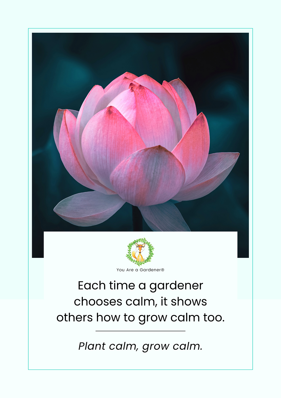 Pink lotus flower on dark teal background. Inspirational text: "Each time a gardener chooses calm... Plant calm, grow calm."