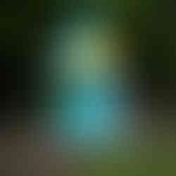 kids quick craft to decorate birdhouse