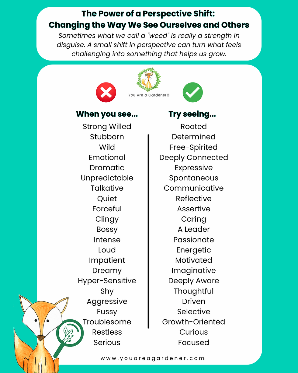 The Power of a Perspective Shift: Changing the Way We See Ourselves and Others