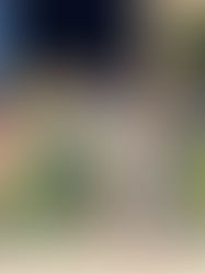 School Spotlight: Riverview Elementary Part 1