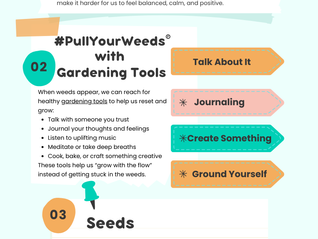 Grow With The Flow: The Garden Cycle™
