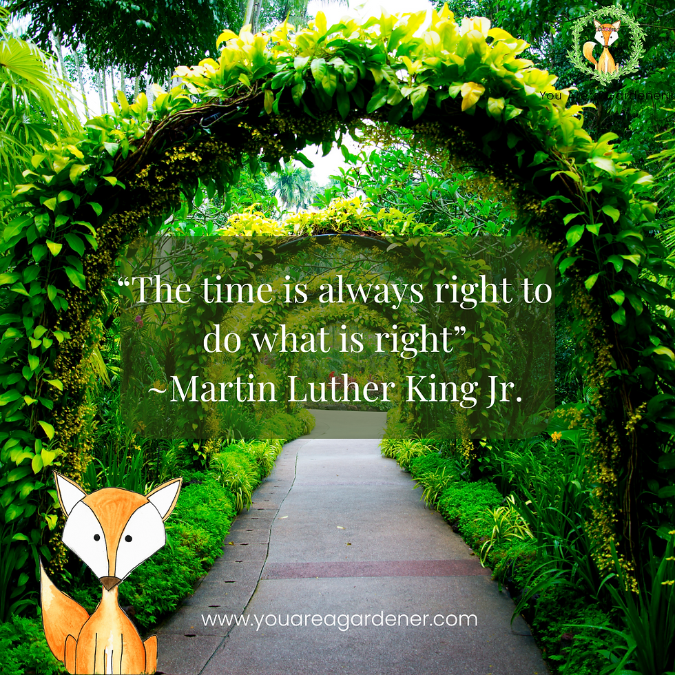 integrity quote martin luther king jr in a garden gate