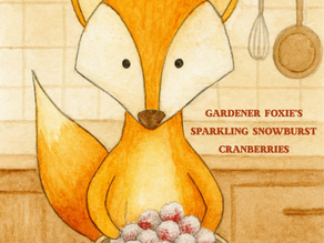 Gardener Foxie's Sparkling Snowburst Cranberries ✨ 