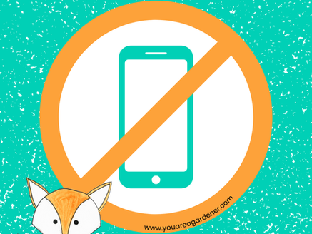 Stop the Scroll: 5 Simple Ways to Reconnect and Reset
