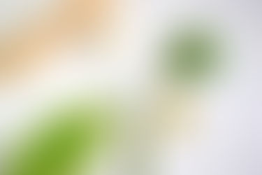 🌿 Salt Dough Impressions 🌿