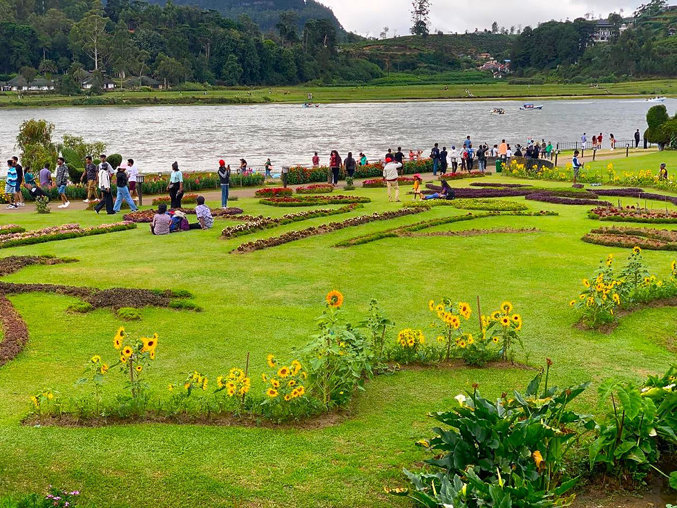 Gregory park nuwara eliya