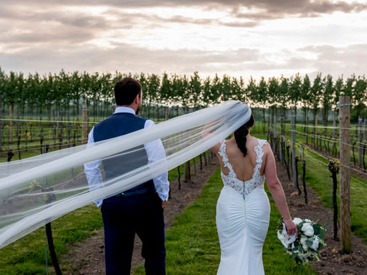 M I C H E L L E  &  L E W I S