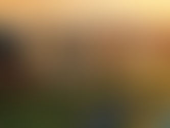 Living in Calgary: Lifestyle, Community, and What to Expect