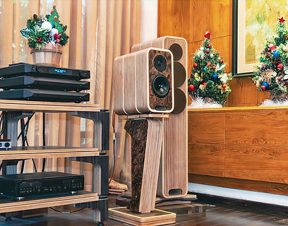 Magika-Plus-Audel-Bestchoiceaudio-stereo-_edited.jpg