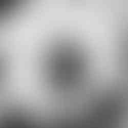 havana cuba faces artists