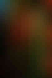 Cinematic portrait of Zach from Tailgunner in neon light with an editorial blur effect