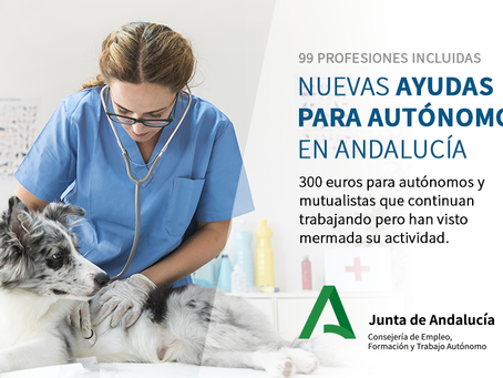 Medidas urgentes complementarias COVID-19 en Andalucía