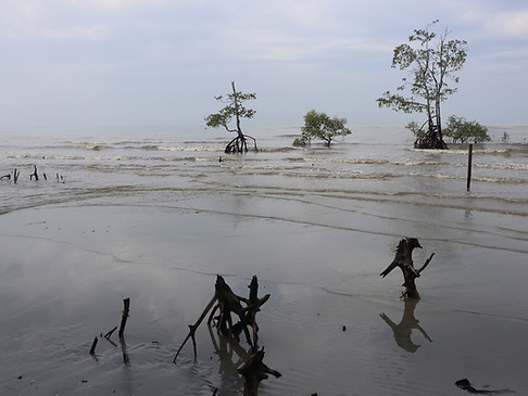 Erosion DPI 2 - DANIA YASMINE.jpg