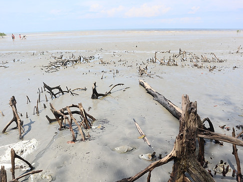 Erosion DPI 5 - DANIA YASMINE.jpg