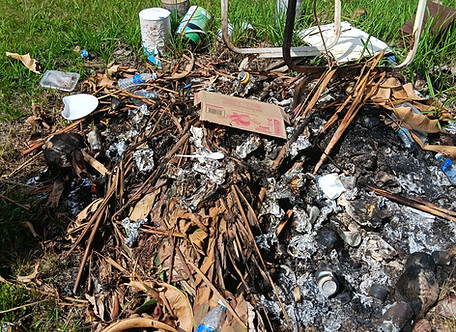 IMG20250929102359 - nrn_nia.jpg