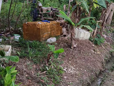 IMG-20250928-WA0022 - nrn_nia.jpg