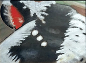 REDHEADSED WOODPECKER oil on board,14''1