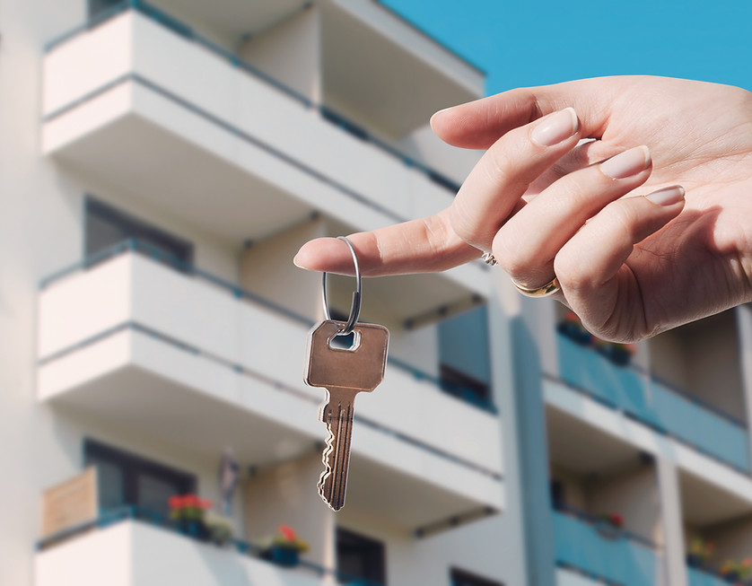 Asset Management Stintino Management