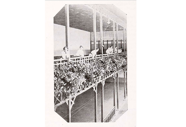 Balcón florido de uno de los patios